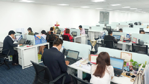 Hoạt động của công ty