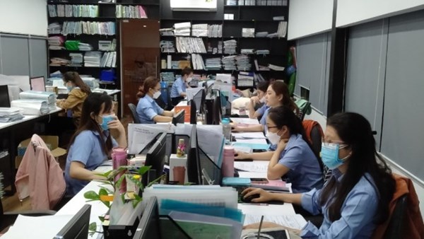 Hoạt động của công ty