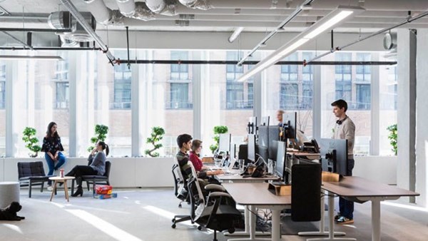 Hoạt động của công ty