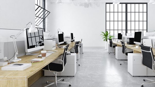 Hoạt động của công ty