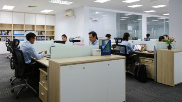 Hoạt động của công ty