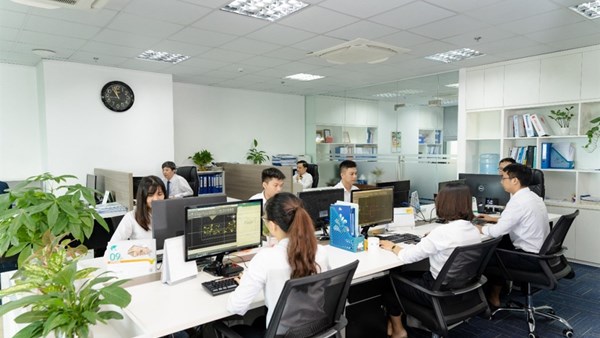 Hoạt động của công ty