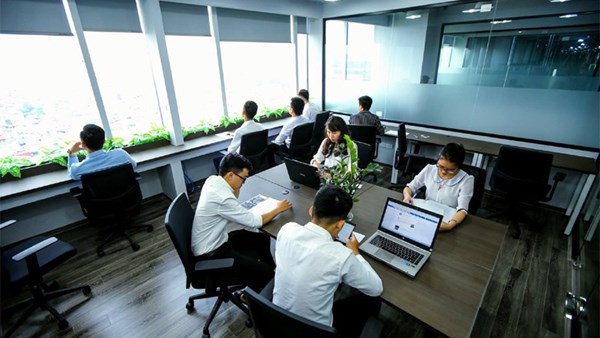 Hoạt động của công ty