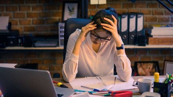 Hoạt động của công ty